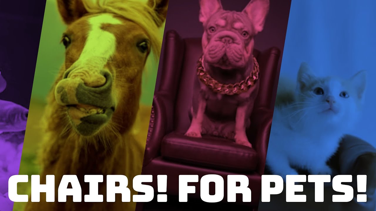 Video thumbnail: Build a multi-language website